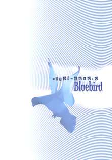 Bluebird, 中文