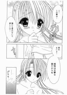 愛娘箱, 日本語