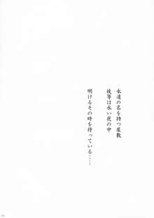 永夜-永遠亭-, 日本語