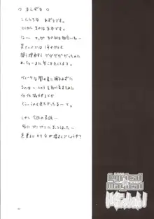 リリカル☆マジカル いぐにっしょん!, 日本語