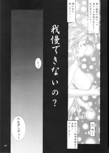 Nightmare of My Goddess Vol.4, 日本語