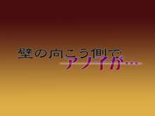 壁の向こう側でアノ子が…, 日本語