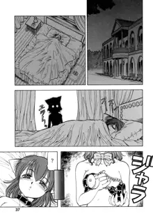 Cat Maids Story, English