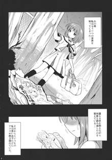 淫ノ巫女, 日本語