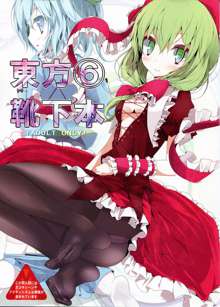 Touhou Kutsushita Bon 6, 中文