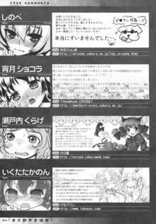 東方獣耳発情祭, 日本語