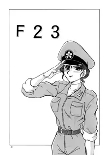 F-23, 日本語