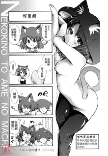 Nekokino to Ame no Machi - Cat Mushroon Girl And Town of Rain, 中文