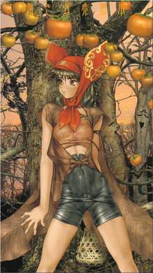 Masamune Shirow - Togihime Zohushi No Ni, 日本語