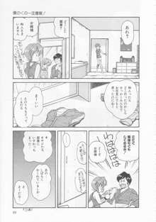 僕のくの一注意報!, 日本語