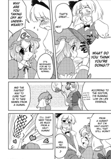 Shoujo Sousei Emaki - Touhou Youenbu You no Shou - Fancy Girl's Equipment Ch. 1-17, English