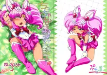 Chiccha na Bishoujo Senshi, English