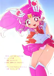 Chiccha na Bishoujo Senshi, English