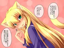 しょせんねこだもの4 ～制服痴女～, 日本語