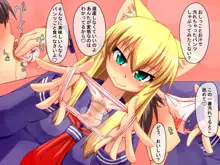 しょせんねこだもの4 ～制服痴女～, 日本語