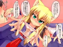 しょせんねこだもの4 ～制服痴女～, 日本語