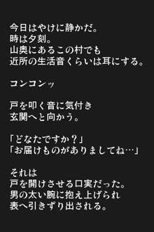 天空の新妻ー魔物の餌食ー, 日本語