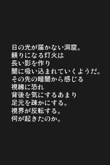 天空の新妻ー魔物の餌食ー, 日本語