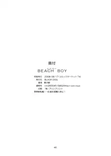 BEACH BOY, 日本語