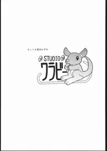 VITAMIN-B5 1/3 ルリルリないしょの学園日記, 日本語