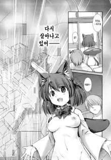 Nekokino to Ame no Machi - Cat Mushroon Girl And Town of Rain, 한국어