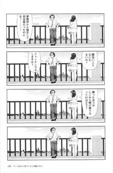 明日また電話するよ, 日本語