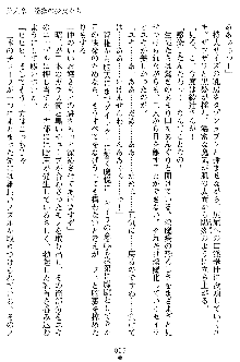 奴隷聖徒会長ヒカル2, 日本語