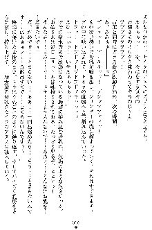 奴隷聖徒会長ヒカル2, 日本語