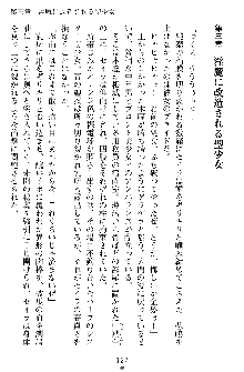 奴隷聖徒会長ヒカル ～淫魔に占陵された学園～, 日本語