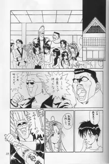 THE SECRET OF 血祭屋 vol.10, 日本語