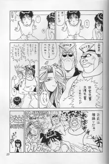 THE SECRET OF 血祭屋 vol.10, 日本語