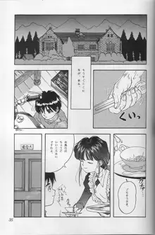 THE SECRET OF 血祭屋 vol.10, 日本語