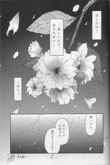 THE SECRET OF 血祭屋 vol.10, 日本語