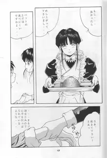 THE SECRET OF 血祭屋 vol.9, 日本語