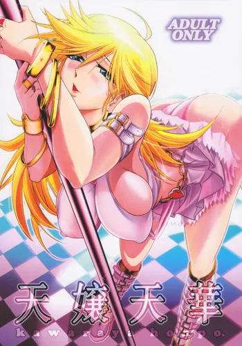 Tenjou Tenge, English