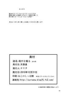 母穴を掘る 2010冬, 日本語