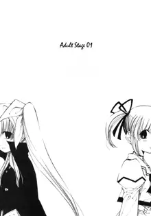 Mahou Shoujo Lyrical Nanoha Adult Stage 01, English