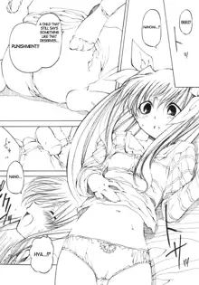 Mahou Shoujo Lyrical Nanoha Adult Stage 01, English