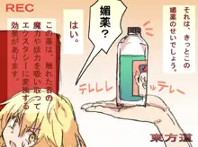 東方ホールインワン, 日本語