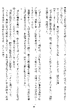 姦落の巫女姉妹 参, 日本語