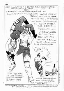 FIGHTERS GiGaMIX FGM vol.19, English