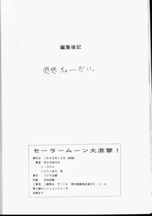 セーラームーン大進撃, 日本語