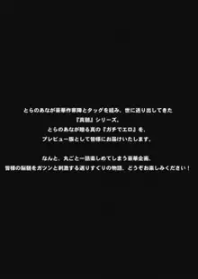 真髄 VOL.6 真髄プレビュー！しなのゆら編, 日本語