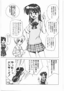 おねえさま甲子園, 日本語