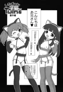 いたずら子猫Twins, 日本語