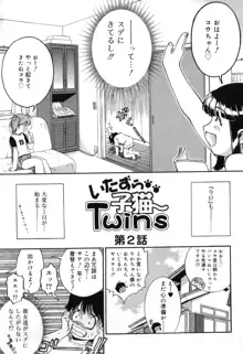 いたずら子猫Twins, 日本語