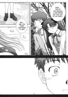 Secret file next 10 I feel my Fate, English