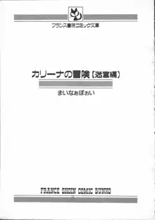 カリーナの冒険 迷宮編, 日本語