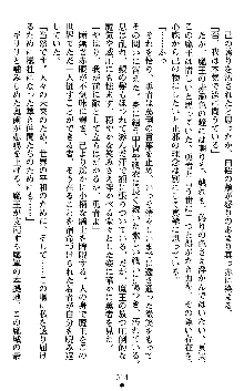 女勇者ファリス 穢された王家の血, 日本語