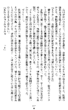 女勇者ファリス 穢された王家の血, 日本語